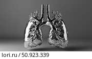 physiology floating lungs ai generated. Стоковое AI-изображение, AI-художник Vectorwin / Фотобанк Лори