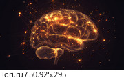 cognition illuminating brain ai generated. Стоковое AI-изображение, AI-художник Vectorwin / Фотобанк Лори