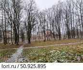 Парк у Кайсарова ручья в Вологде, первый снег (2023 год). Стоковое фото, фотограф Мария Сергеева / Фотобанк Лори