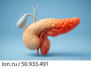 Detailed Illustration of the Human Pancreas and Gallbladder, Showcasing Their Anatomical Structures and Surrounding Features. Стоковое AI-изображение, AI-художник Башкирова Анна / Фотобанк Лори