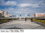 Виды города Токио. Остров Одайба. Япония. Октябрь 2024. Редакционное фото, фотограф Владимир Макеев / Фотобанк Лори