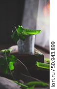 Freshly picked green peas spill over the edge of a small metal bucket and sit on a wooden block, the soft warm glow adding a bit of magic to the rustic scene. Стоковое видео, видеограф Ольга Ильина / Фотобанк Лори