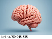 Highly detailed 3D rendering of human brain used for medical education, Alzheimer’s awareness, neuroscience research, or clinical visuals. 3D Medical Illustration of Human Brain Anatomy. Стоковое AI-изображение, AI-художник Башкирова Анна / Фотобанк Лори