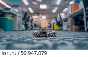 A Serpent in the Corporate World, An Unconventional Pet Snake in a Modern Office Setting. Стоковое AI-изображение, AI-художник Данила Большаков / Фотобанк Лори