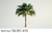 date tree palm ai generated. Стоковое AI-изображение, AI-художник Vectorwin / Фотобанк Лори