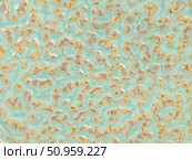 Organic Turquoise and Brown Ceramic Texture with Glossy Finish. Стоковое фото, фотограф Максимова Марина / Фотобанк Лори