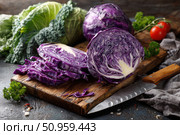 Organic freshly white cabbage on rustic table surface. Purple fresh cabbage. Partially sliced raw shredded cabbage and a half on a wooden cutting board with a knife. Preparation of vegetables salad. Стоковое AI-изображение, AI-художник Марина Демидюк / Фотобанк Лори