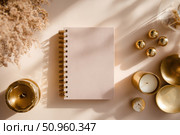 Back to life, goal list concept. Woman's hand writing in empty notebook on wooden table. Resolutions, plan, goals, checklist, idea concept. Top view, flat lay, copy space. 2026. Christmas, New Year. Стоковое AI-изображение, AI-художник Марина Демидюк / Фотобанк Лори