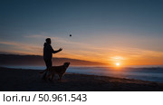 Silhouette of a person playing fetch with a dog at sunset on a tranquil beach. Стоковое AI-изображение, AI-художник Сергей Толмачёв / Фотобанк Лори