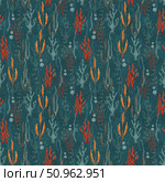 Seamless pattern with hand-drawn multi-colored algae. Стоковая иллюстрация, иллюстратор Елена Захаревич / Фотобанк Лори