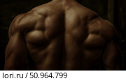 Muscular Back Close-up: A Detailed View of a Man's Impressive Physique, Showcasing Strength and Definition. Стоковое AI-изображение, AI-художник Данила Большаков / Фотобанк Лори