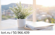 Bright morning glow illuminates a calm indoor corner with green foliage and white journals, ideal for a peaceful study or workspace. Стоковое AI-изображение, AI-художник Данила Большаков / Фотобанк Лори