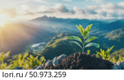 Resilient young plant seedling thrives on a mountaintop, bathed in warm morning light overlooking a sprawling mountain landscape. Стоковое AI-видео, аниматор Данила Большаков / Фотобанк Лори