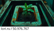 A resilient seedling thriving in a weathered container. Стоковое AI-изображение, AI-художник Данила Большаков / Фотобанк Лори