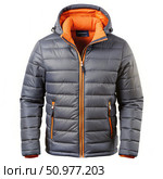 Gray Puffer Jacket With Orange Accents and Hood. Generative AI. Стоковое AI-изображение, AI-художник Roman Zavorotny / Фотобанк Лори