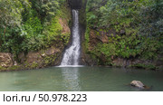 A picturesque tropical waterfall. Streams of water flow down the steep cliff face into the lake. Green vegetation on the slope. Mauritius. La Vallée Des Couleurs Nature Park. Стоковое фото, фотограф Вера Ивановна Кубарева / Фотобанк Лори
