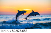 Two energetic dolphins jumping and splashing in ocean waves at sunset, dynamic playful wildlife scene showing amazing animal action. Стоковое AI-изображение, AI-художник Павел Муравьев / Фотобанк Лори