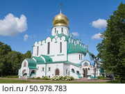 Старинный Федоровский Государев собор солнечным августовским днем. Царское Село. Окрестности Санкт-Петербурга. Стоковое фото, фотограф Виктор Карасев / Фотобанк Лори
