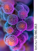 A macro shot revealing the intricate patterns and vivid colors of coral polyps, likely taken in an aquarium setting. Стоковое AI-изображение, AI-художник Данила Большаков / Фотобанк Лори