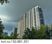 Tall apartment buildings against a dramatic, cloudy sky seen through green trees. Concept of: Urban living. Стоковое фото, фотограф Ольга Петрова-Апостолова / Фотобанк Лори