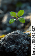 A resilient sprout emerging from a rock, symbolizing nature's strength and perseverance. Стоковое AI-изображение, AI-художник Данила Большаков / Фотобанк Лори