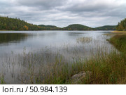 View from the shore of Lake Ladoga near the village of Lumivaara on a sunny autumn day, Ladoga skerries, Lahdenpohya, Republic of Karelia, Russia. Стоковое фото, фотограф Ula Ulachka / Фотобанк Лори