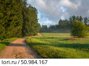 The country road to the Mikhailovskoye estate along the Festive glade on the territory of the Pushkin Museum-Reserve on a foggy summer morning, Pushkinskiye Gory, Pskov region, Russia. Стоковое фото, фотограф Ula Ulachka / Фотобанк Лори