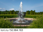 Strelna, St. Petersburg, Russia, June 12, 2025: The Fountain Lilies in the Lower Park of the Palace and Park Ensemble of the Konstantinovsky Palace on a sunny summer day. Редакционное фото, фотограф Ula Ulachka / Фотобанк Лори
