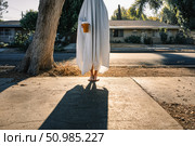 The scene is set in a suburban neighborhood with trees and houses in the background. Стоковое AI-изображение, AI-художник Евгения Пархоменко / Фотобанк Лори