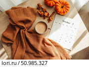 A cozy autumn scene featuring a brown blanket, a cup of coffee, decorative pumpkins, dried flowers. Стоковое AI-изображение, AI-художник Евгения Пархоменко / Фотобанк Лори