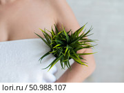 Faceless woman in a white towel holds a pot with a plant. Unrecognizable girl with the help of green bushes imitates the vegetation of armpit hair. Depilation area. Female hair removal. Стоковое фото, фотограф Михаил Решетников / Фотобанк Лори