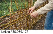 A person weaves branches to create a rustic fence. Стоковое AI-изображение, AI-художник Евгения Пархоменко / Фотобанк Лори