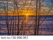 Winter sunset through the thin branches of leafless trees. The sun is setting below the horizon, painting the sky in soft golden-orange hues. In the background is a frozen lake with thin stripes of snow and ice. The foreground is filled with an elegant pattern of branches, as if framing this calm and bright farewell to the day. The frame is filled with silence, transparency of air and a sense of peace. Стоковое фото, фотограф Анна Кривицкая / Фотобанк Лори
