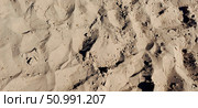 Detailed view of sandy beach terrain with footprints at midday sunlight in a coastal setting. Стоковое фото, фотограф Александра Рублева / Фотобанк Лори