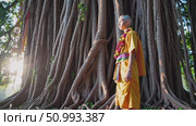 Saffron robed monk standing reverentially near sprawling banyan tree, gnarled roots descending, soft golden light illuminating contemplative moment. Стоковое AI-видео, аниматор Данил Руденко / Фотобанк Лори