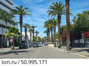 Busy crossroads in downtown Casablanca, Morocco (2024 год). Редакционное фото, фотограф Евгений Ткачёв / Фотобанк Лори