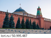 Сенатская башня Московского Кремля Красная площадь The Senate Tower of the Moscow Kremlin Red Square. Стоковое фото, фотограф Roman Savateev / Фотобанк Лори