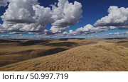 Golden prairie grasses waving across rolling hills, cumulus clouds casting soft shadows under bright sunlight, representing expansive Montana grassland landscape. Стоковое AI-видео, аниматор Данил Руденко / Фотобанк Лори