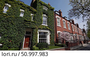 Verdant ivy scaling weathered Victorian facade, complementing neighboring red brick townhouses under bright spring sunlight, revealing historic urban architectural character. Стоковое AI-изображение, AI-художник Данил Руденко / Фотобанк Лори