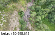 Aerial perspective of lush forest featuring diverse green trees and patches of lighter foliage, emphasizing the rich textures and vibrant colors of nature. Стоковое видео, видеограф Ирина Ручушкина / Фотобанк Лори