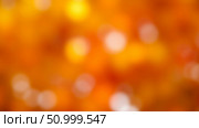 Vibrant blurred autumn background with red, orange and yellow colors, an abstract impressionistic landscape for seasonal or creative design. Стоковое фото, фотограф Павел Муравьев / Фотобанк Лори
