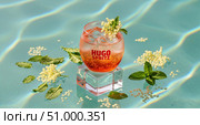 A refreshing Hugo Spritz cocktail with elderflower and prosecco. The drink is garnished with mint leaves and elderflower blossoms, placed on a clear surface. Стоковое AI-изображение, AI-художник Журавлева Кристина / Фотобанк Лори