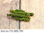 Green pepper corn on the branch. Стоковое фото, фотограф Андрей Старостин / Фотобанк Лори