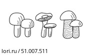 Set of mushroom icons. Illustration of boletus, chanterelles, honey mushrooms, champignons, aspen mushroom and russula. Стоковая иллюстрация, иллюстратор Глущенко Елена / Фотобанк Лори
