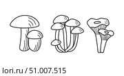 Set of mushroom icons. Illustration of boletus, chanterelles, honey mushrooms, champignons, aspen mushroom and russula. Стоковая иллюстрация, иллюстратор Глущенко Елена / Фотобанк Лори