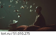 Meditating monk surrounded by butterflies in a serene indoor setting at dusk. Стоковое AI-видео, аниматор Сергей Толмачёв / Фотобанк Лори