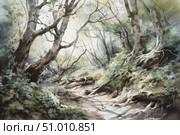 Watercolor illustration of a forest scene with curving trees, roots and soft light filtering through the foliage. The path, covered in shadows from the branches, goes into the distance, creating the effect of depth and inviting the viewer into the picture. The atmosphere of calm, solitude and natural beauty conveys the spirit of untouched nature. This image is perfect for decorating ecological projects, book covers, illustrations for fairy tales and themes of mindfulness. Стоковое AI-изображение, AI-художник Анна Кривицкая / Фотобанк Лори