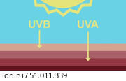 Difference between impact of UVB and UVA sun rays on skin protection in a visual diagram animation. Стоковая анимация, аниматор Людмила Лесовая / Фотобанк Лори