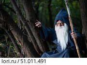 A wizard with a long gray beard and a cloak in a deep forest. An elderly man in a witcher costume. Стоковое фото, фотограф Михаил Решетников / Фотобанк Лори