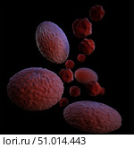3D illustration the Chlamydia psittaci bacteria. Стоковое фото, фотограф Stocktrek Images, Inc. / ТАСС / Фотобанк Лори